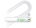fluorescent bulbs