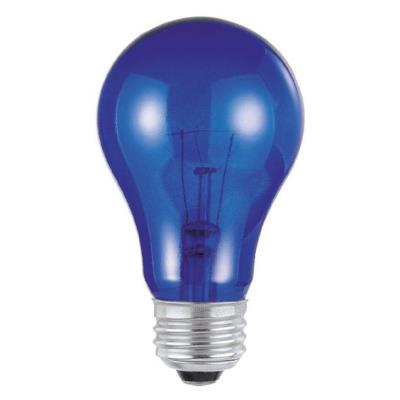25 Watt A19 Incandescent Light Bulb
