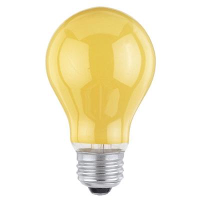 60 Watt A19 Incandescent Light Bulb