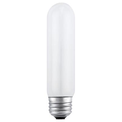25 Watt T10 Incandescent Light Bulb