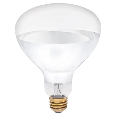 375 Watt R40 Incandescent Light Bulb