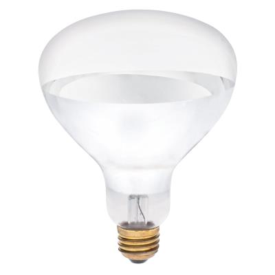 250 Watt R40 Incandescent Light Bulb