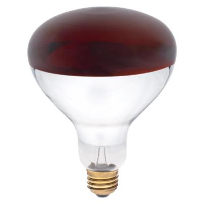 250 Watt R40 Incandescent Light Bulb