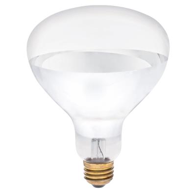 125 Watt R40 Incandescent Light Bulb