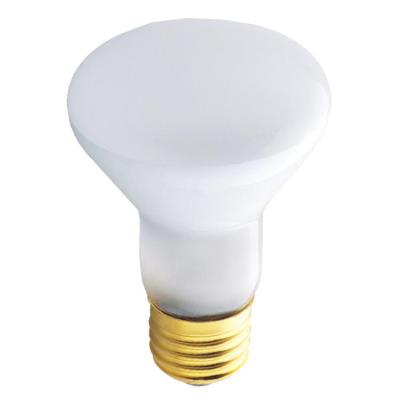 30 Watt R20 Incandescent Flood Light Bulb