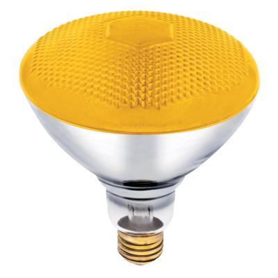 100 Watt BR38 Incandescent Bug Light Bulb