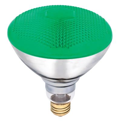 100 Watt BR38 Incandescent Light Bulb