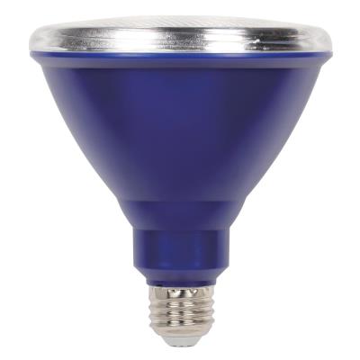 15 Watt (100 Watt Equivalent) PAR38 Flood Outdoor LED Light Bulb, Weatherproof