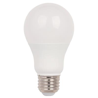 6 Watt (40 Watt Equivalent) Omni A19 LED Light Bulb