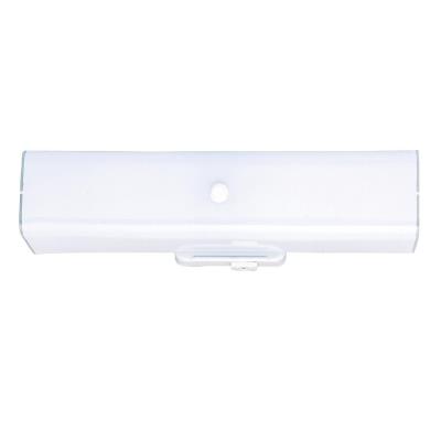 Two-Light Indoor Wall Fixture with Ground Convenience Outlet