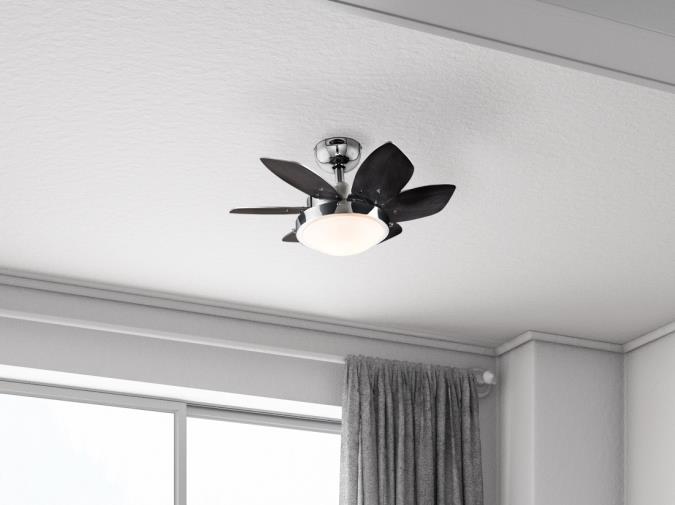 Westinghouse Lighting Quince 24 Inch Six Blade Indoor Ceiling Fan