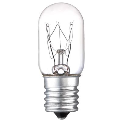 25 Watt T7 Incandescent Light Bulb