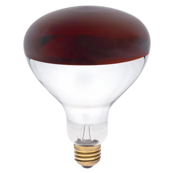 GE 043168906593 250W Medium Base R40 Infrared Heat Lamp 