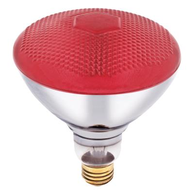 100 Watt BR38 Incandescent Light Bulb