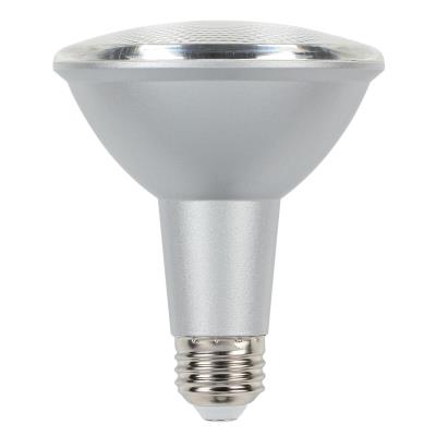 10 Watt (75 Watt Equivalent) PAR30 Flood Dimmable LED Light Bulb