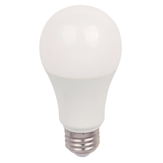 Hinder Beheren Monica Westinghouse Omni A19 15.5-Watt (100 Watt Equivalent) Medium Base Daylight  LED Lamp