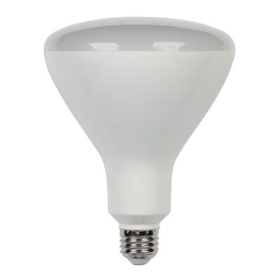 16-1/2 Watt (85 Watt Equivalent) R40 Flood Dimmable LED Light Bulb 