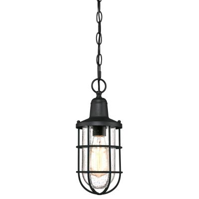 Crestview One-Light Outdoor Pendant