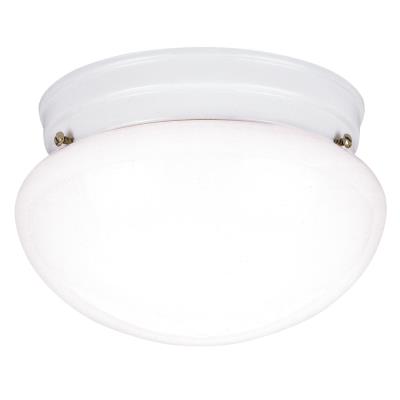 Two-Light Indoor Flush-Mount Ceiling Fixture