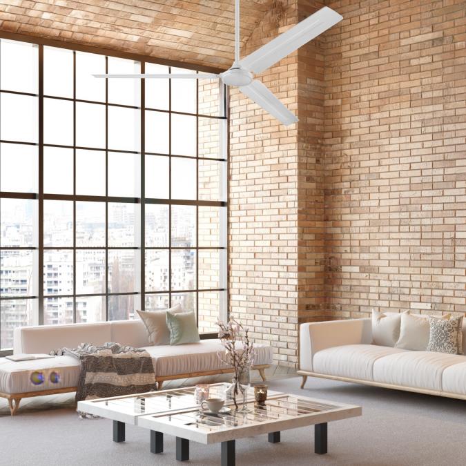 neighborhood Charles Peterson SS-3 白 M OTD August 26,1989, Nirvana performed at The Center On